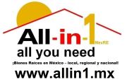 allin1